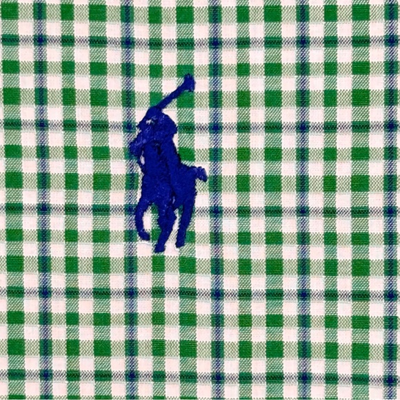 Ralph Lauren Men's L Green & Blue Gingham Checkered Plaid Shirt ~ Excellent - Picture 2 of 8